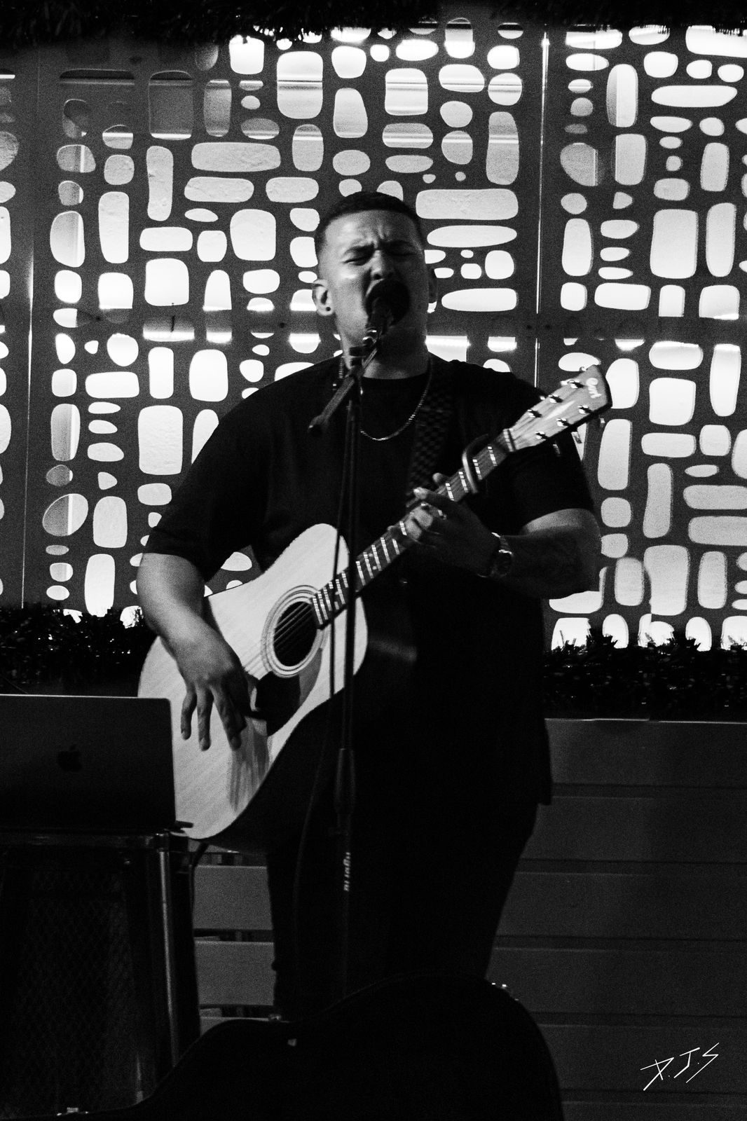 Harry Hannies live performance